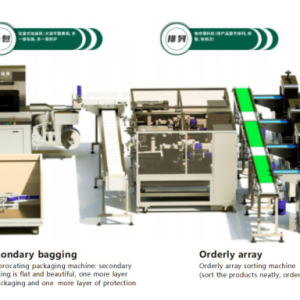 Automatic sorting &box(carton) packing line
